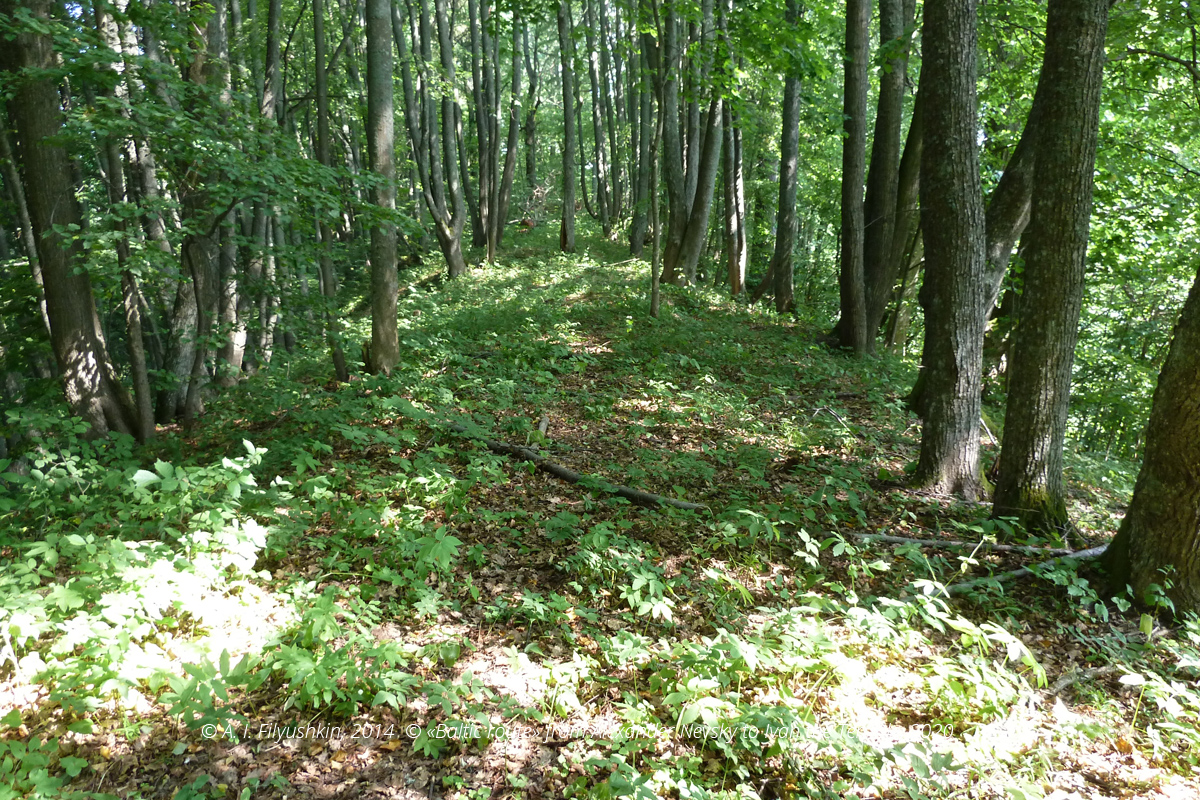 Sokol 5 site